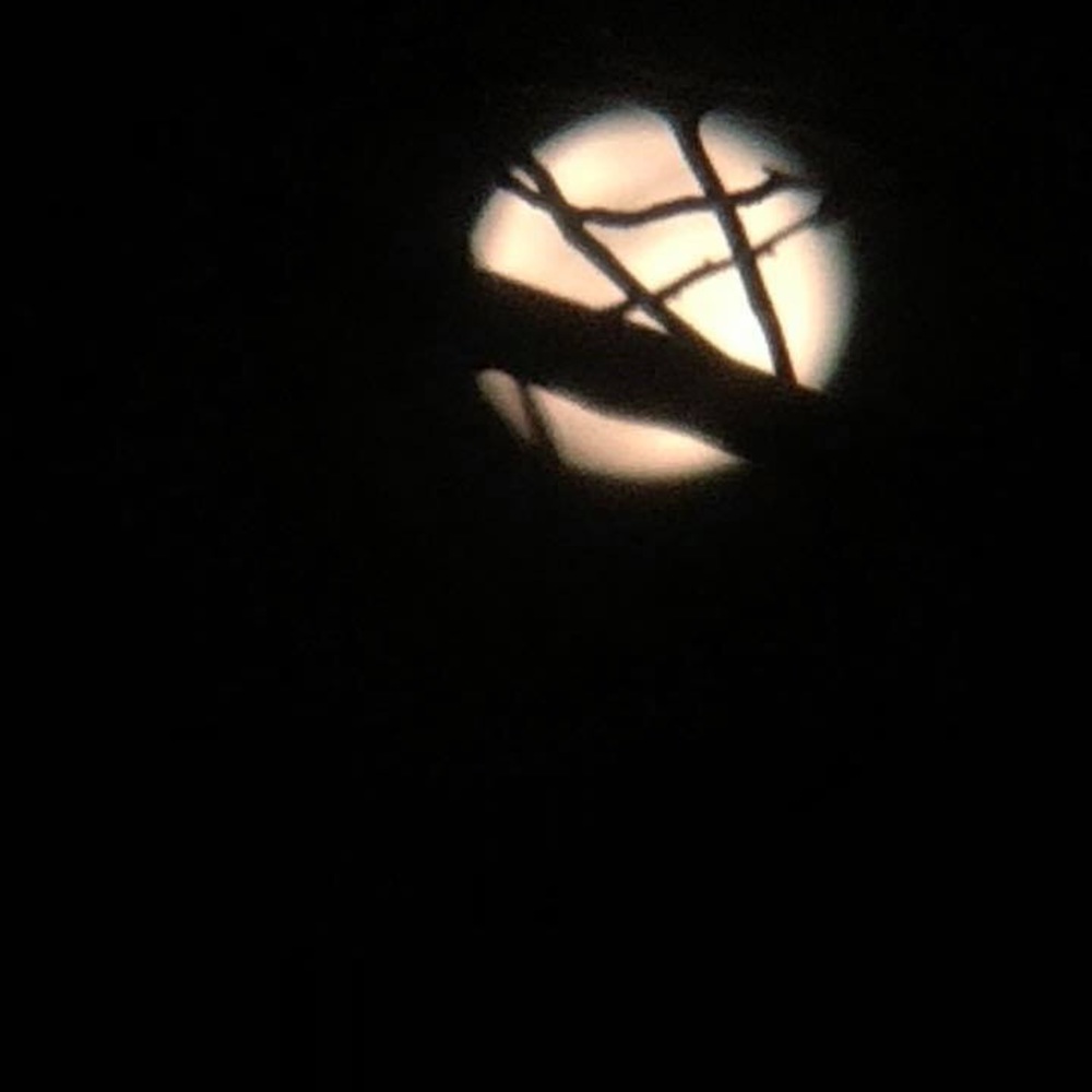 Meet your Posher, Tara